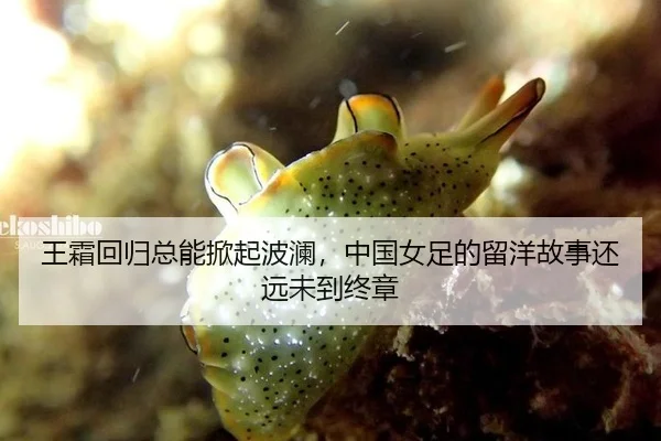 王霜回归总能掀起波澜，中国女足的留洋故事还远未到终章